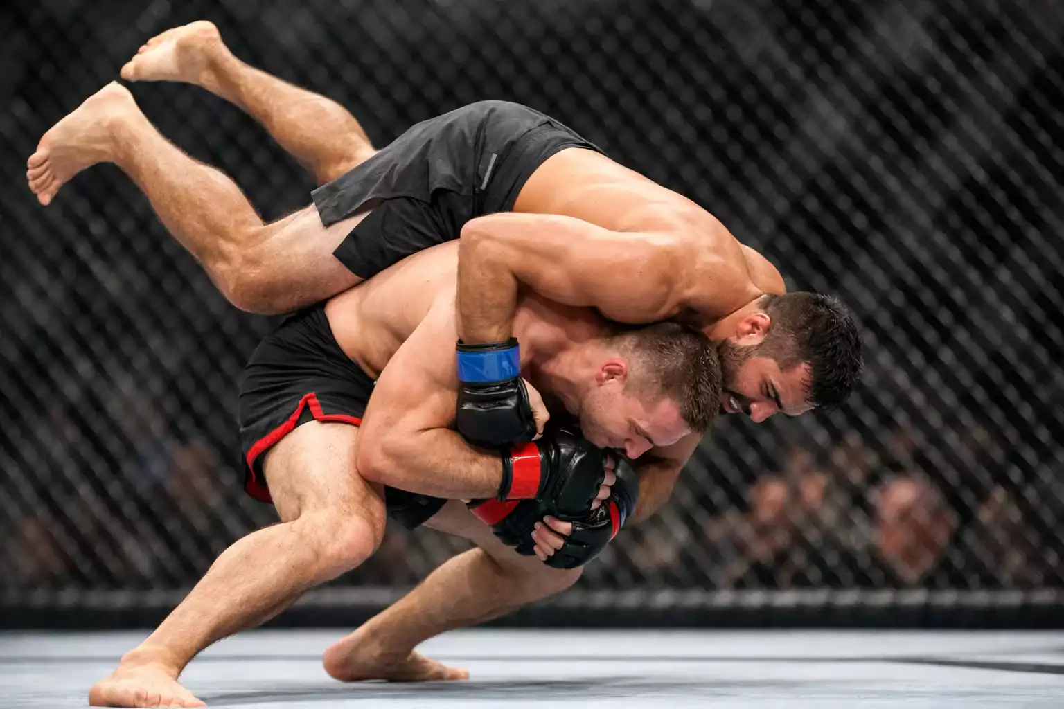 Wrestler führt einen Takedown im MMA-Käfig aus
