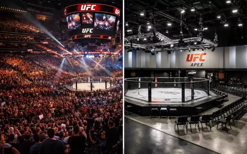 Verschiedene UFC-Veranstaltungsorte von Arena bis Studio